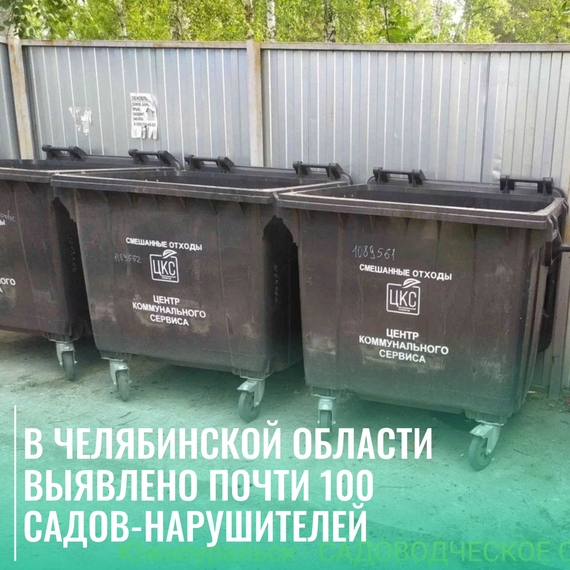 В Челябинской области выявлено почти 100 садов-нарушителей