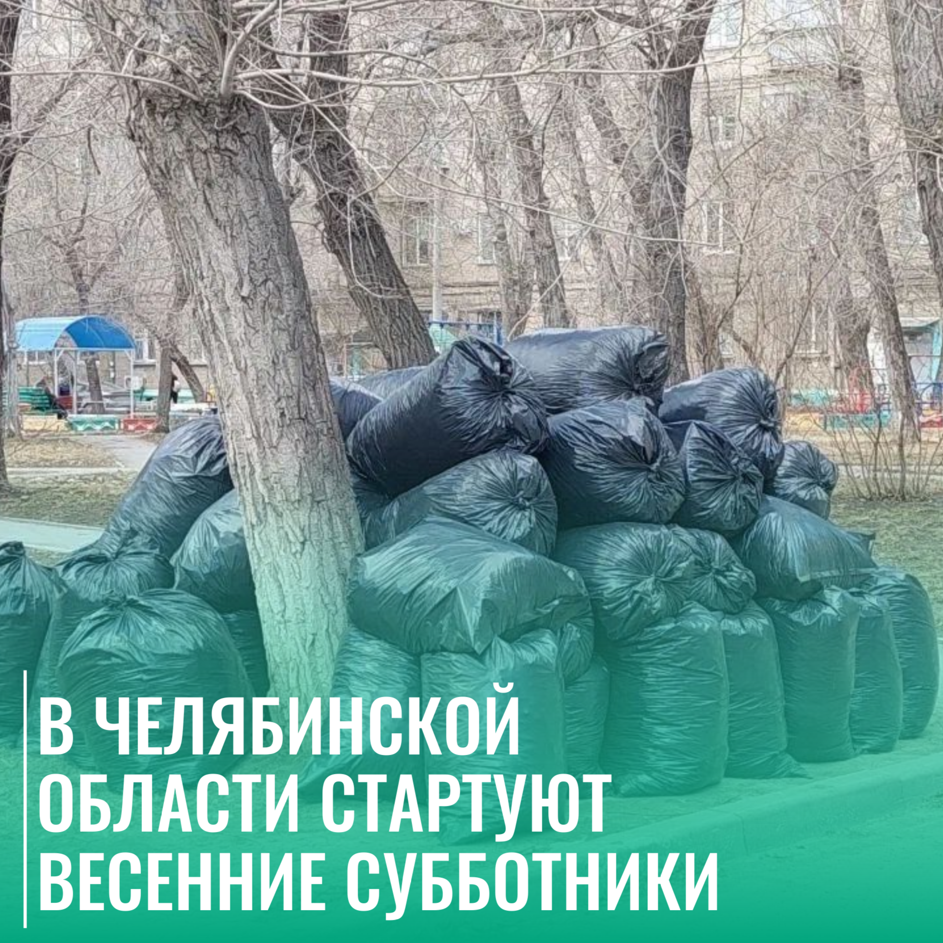 В Челябинской области стартуют весенние субботники: ЦКС разъяснил порядок вывоза мусора