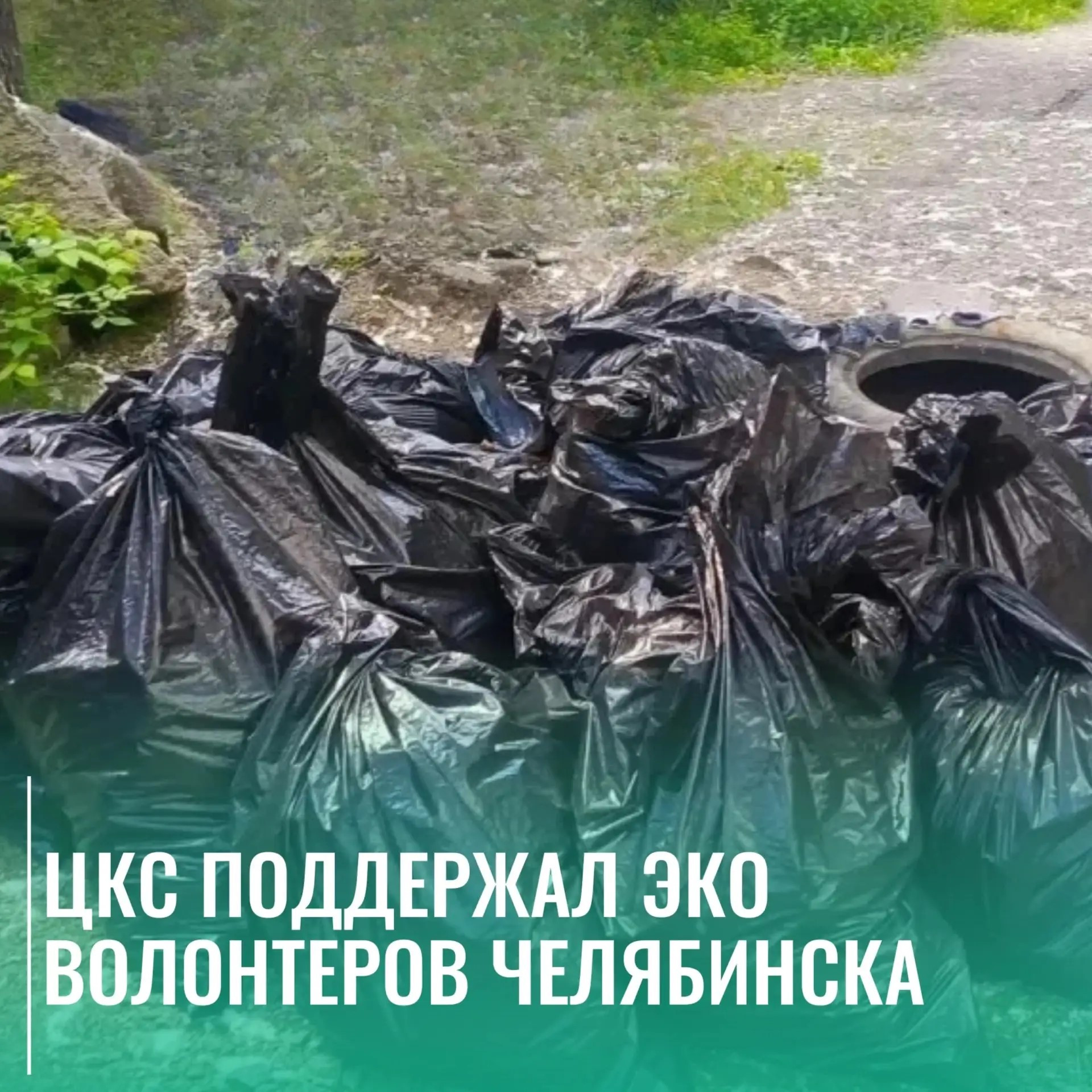 ЦКС поддержал эковолонтёров Челябинска