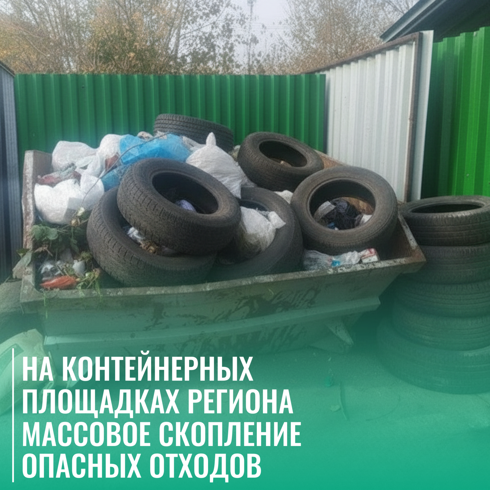 На контейнерных площадках региона массовое скопление опасных отходов