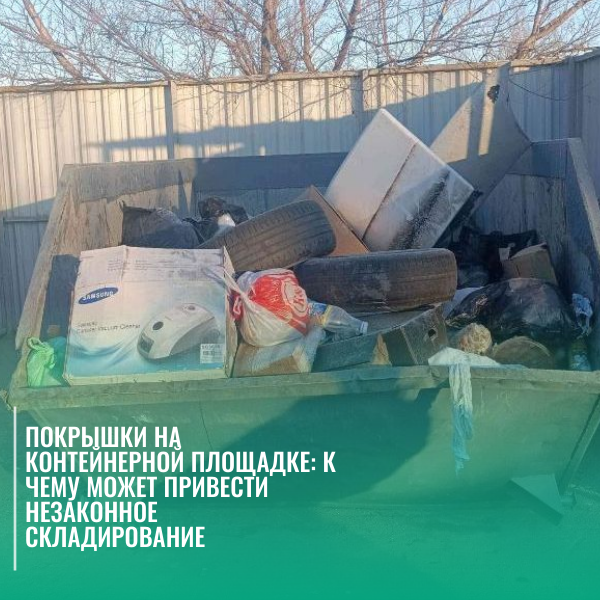 Покрышки на контейнерной площадке: к чему может привести незаконное складирование