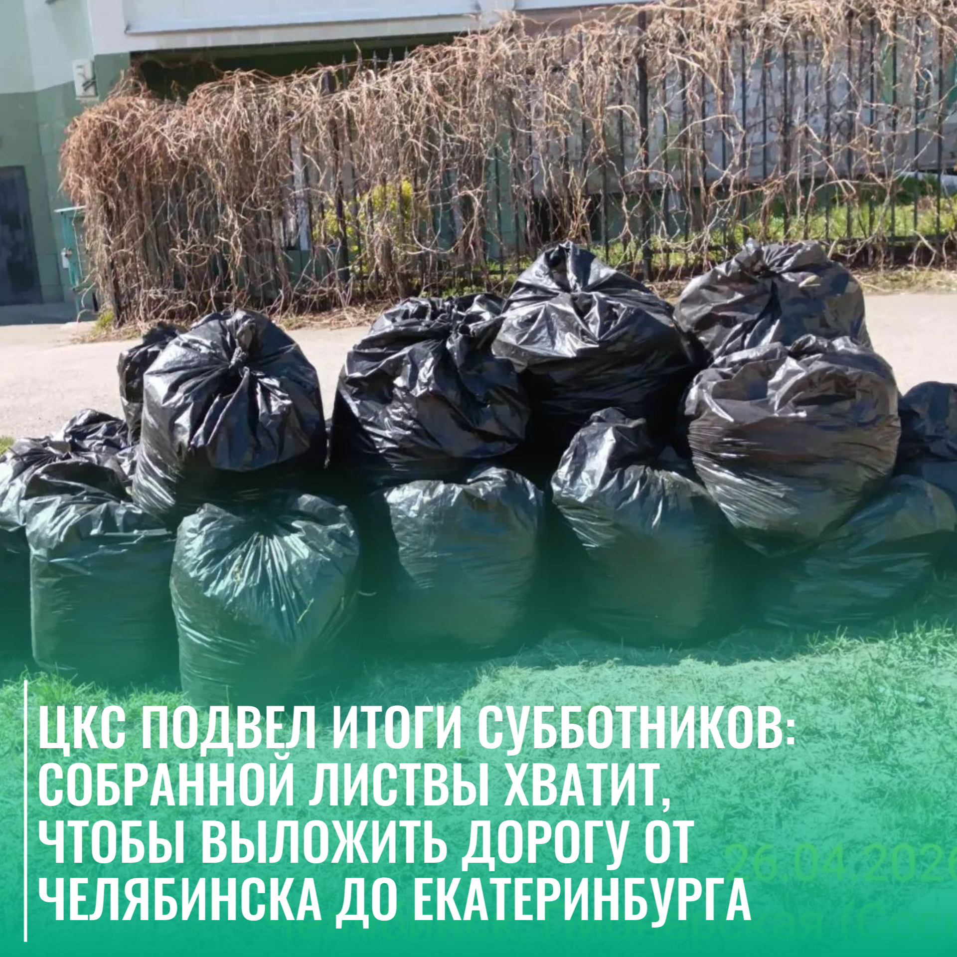 ЦКС подвел итоги субботников: собранной листвы хватит, чтобы выложить дорогу от Челябинска до Екатеринбурга